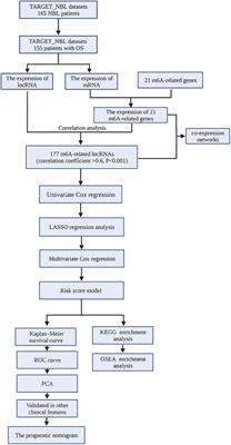 Characterization of m6A-related lncRNA signature in neuroblastoma